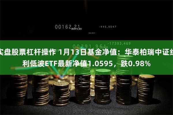 实盘股票杠杆操作 1月13日基金净值：华泰柏瑞中证红利低波E